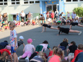 Sportfest 2026